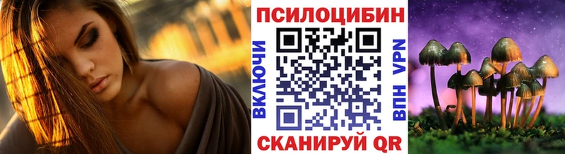 MEGA ссылка  darknet Telegram  Галлюциногенные грибы Cubensis  Ершов 